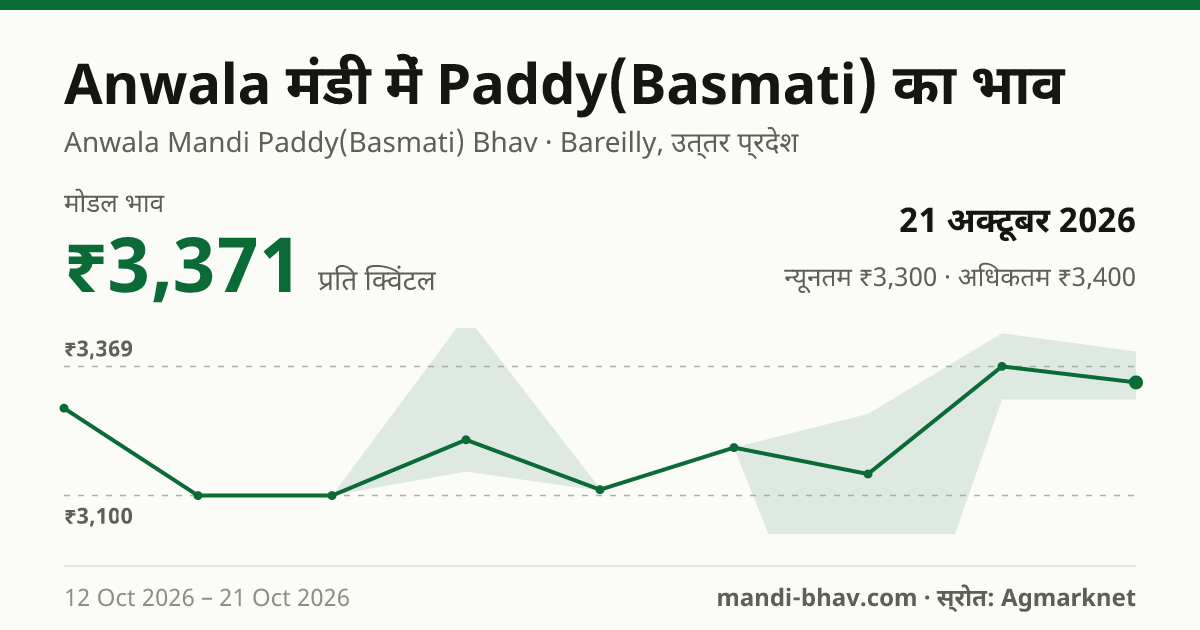 Anwala मंडी में Paddy(Basmati) का भाव 21 अक्टूबर 2026: मोडल ₹3,371 प्रति क्विंटल, भाव के रुझान का चार्ट