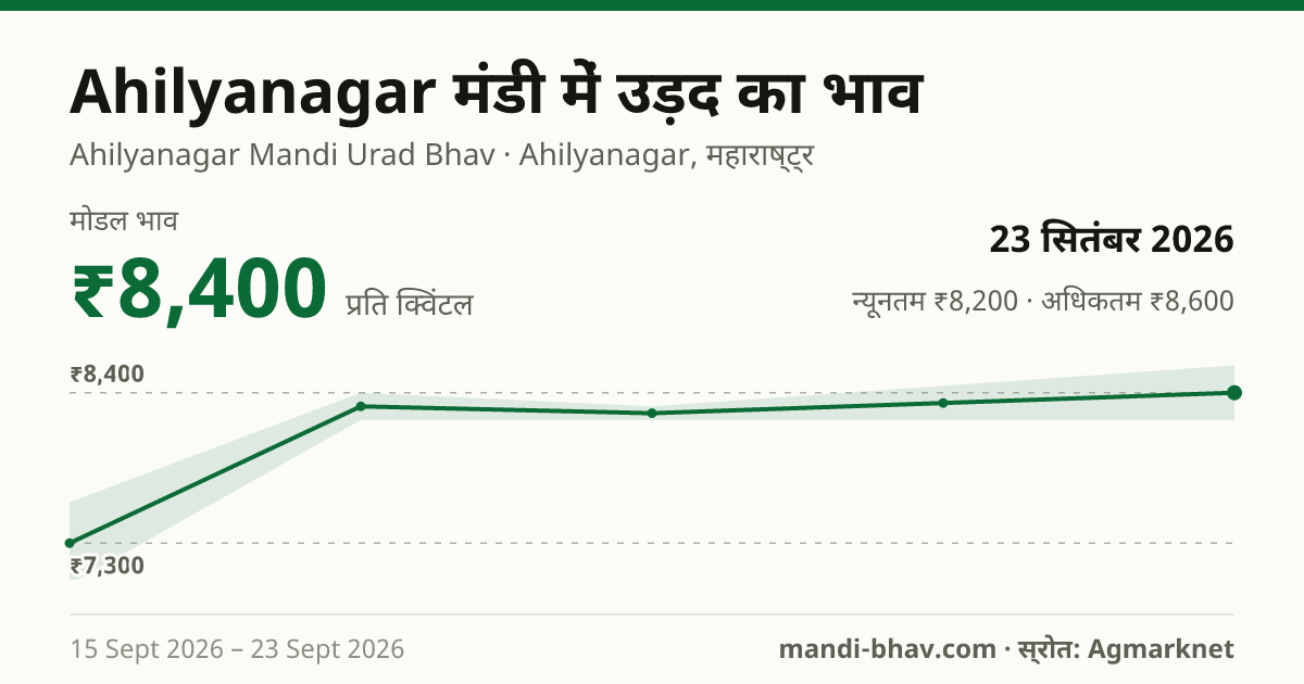 Ahilyanagar मंडी में उड़द का भाव 23 सितंबर 2026: मोडल ₹8,400 प्रति क्विंटल, भाव के रुझान का चार्ट