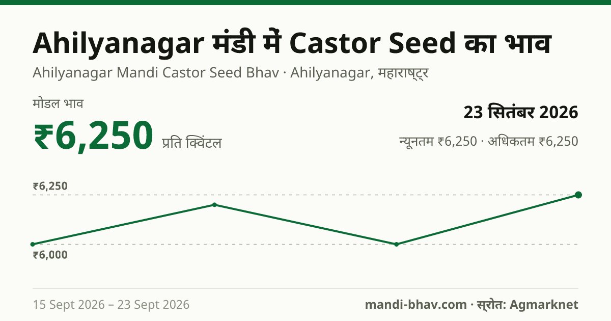 Ahilyanagar मंडी में Castor Seed का भाव 23 सितंबर 2026: मोडल ₹6,250 प्रति क्विंटल, भाव के रुझान का चार्ट