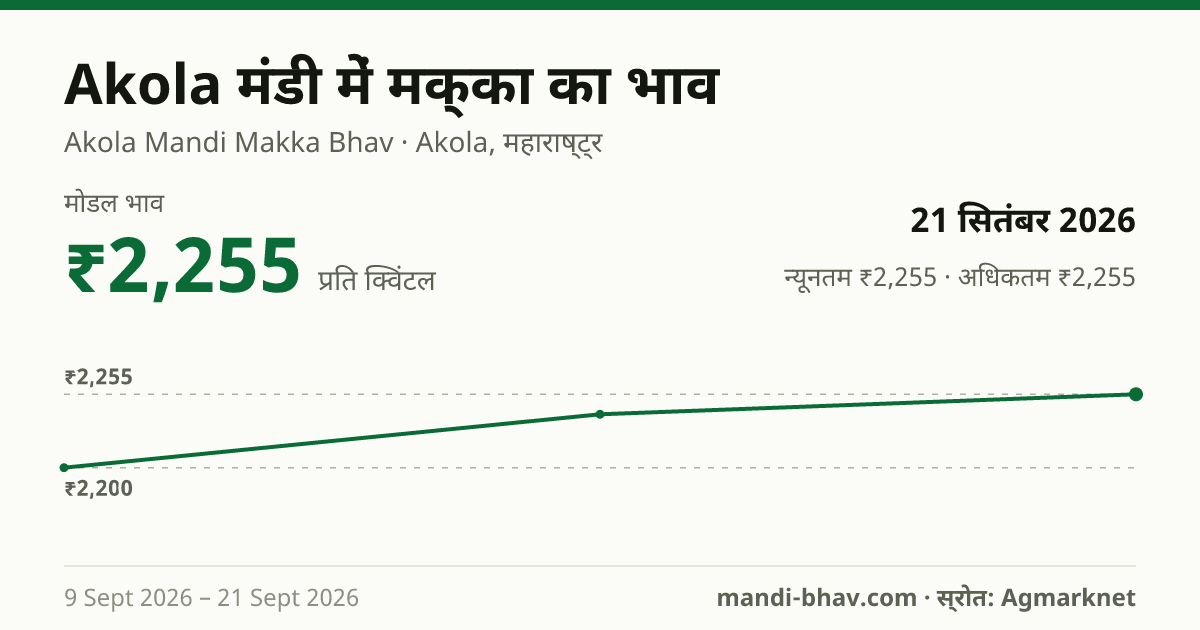 Akola मंडी में मक्का का भाव 21 सितंबर 2026: मोडल ₹2,255 प्रति क्विंटल, भाव के रुझान का चार्ट