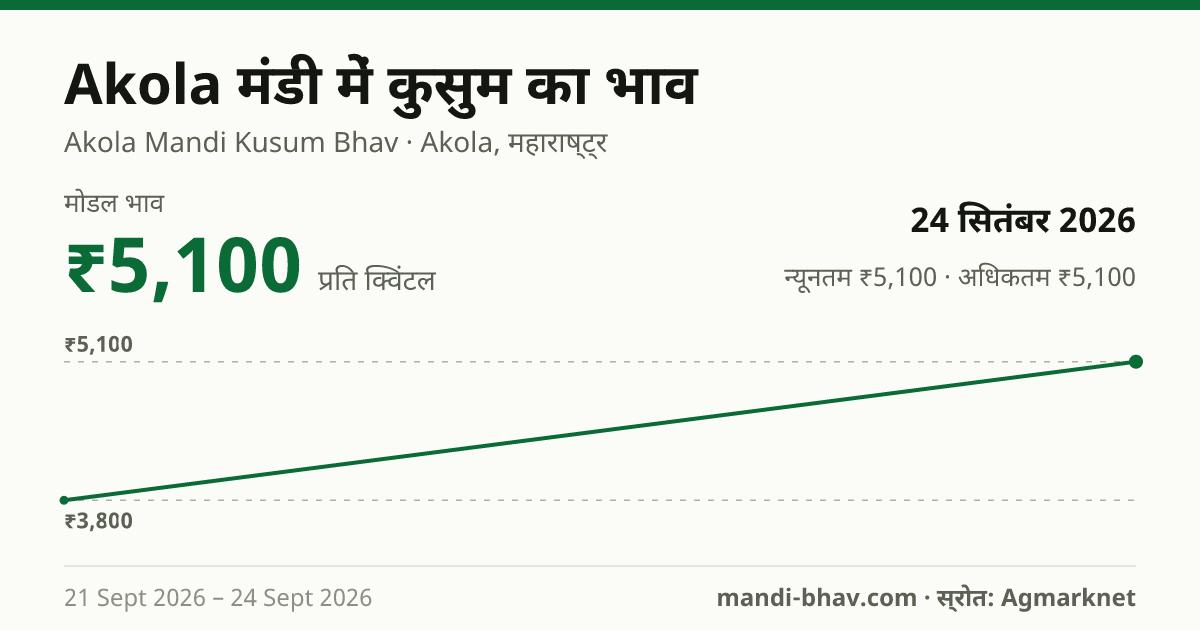 Akola मंडी में कुसुम का भाव 24 सितंबर 2026: मोडल ₹5,100 प्रति क्विंटल, भाव के रुझान का चार्ट
