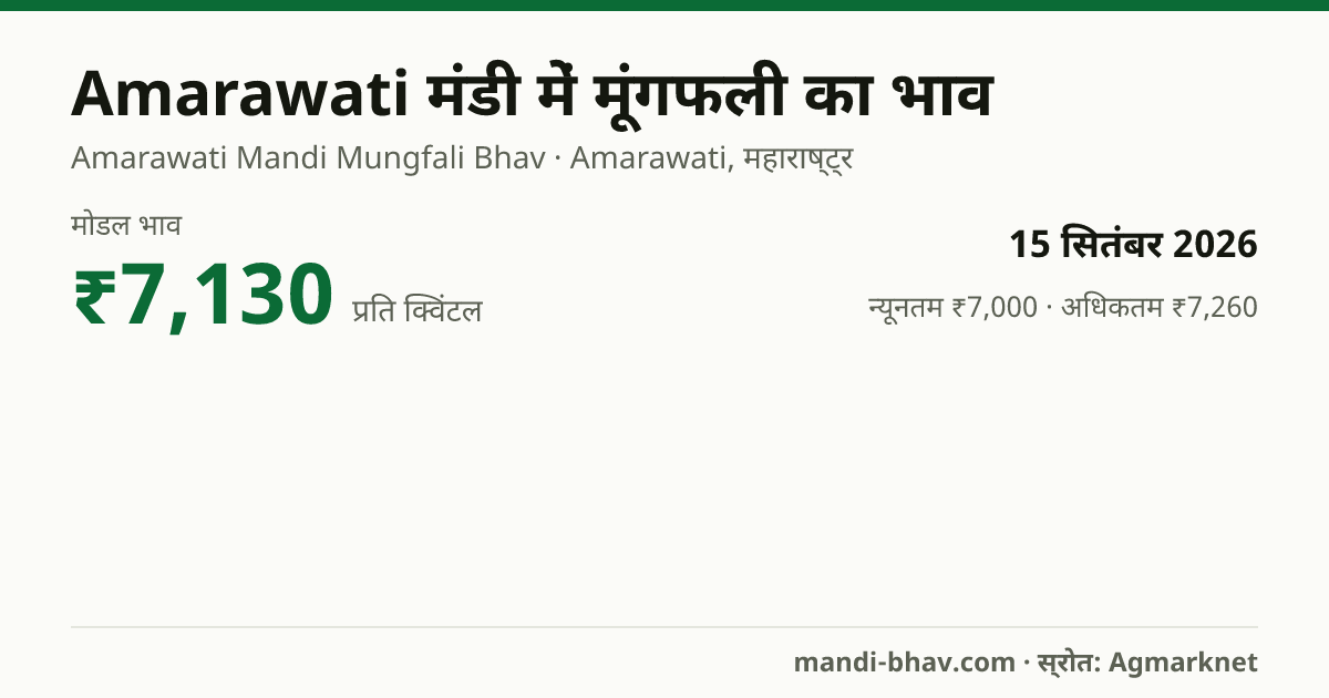 Amarawati मंडी में मूंगफली का भाव 15 सितंबर 2026: मोडल ₹7,130 प्रति क्विंटल, भाव के रुझान का चार्ट