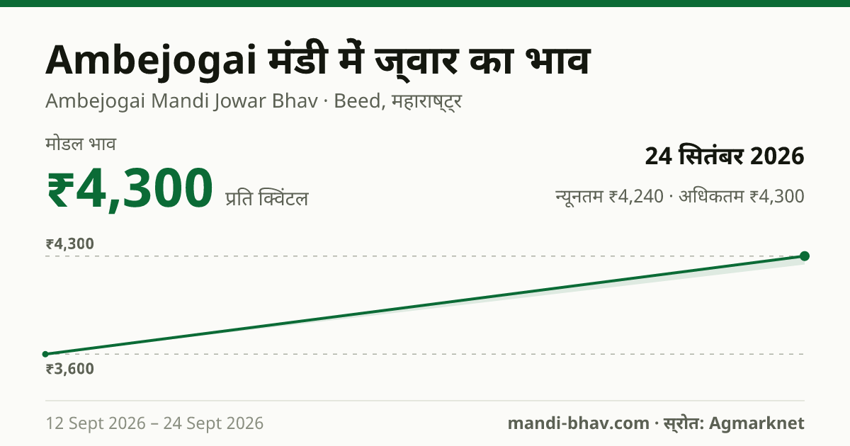 Ambejogai मंडी में ज्वार का भाव 24 सितंबर 2026: मोडल ₹4,300 प्रति क्विंटल, भाव के रुझान का चार्ट
