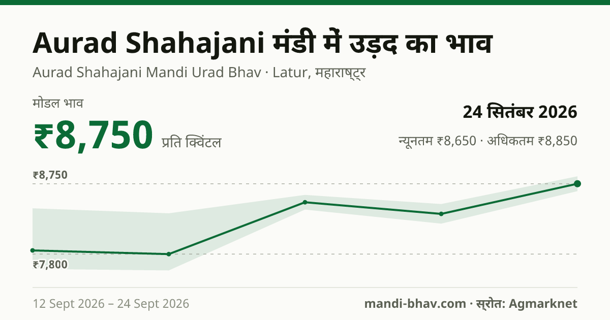 Aurad Shahajani मंडी में उड़द का भाव 24 सितंबर 2026: मोडल ₹8,750 प्रति क्विंटल, भाव के रुझान का चार्ट