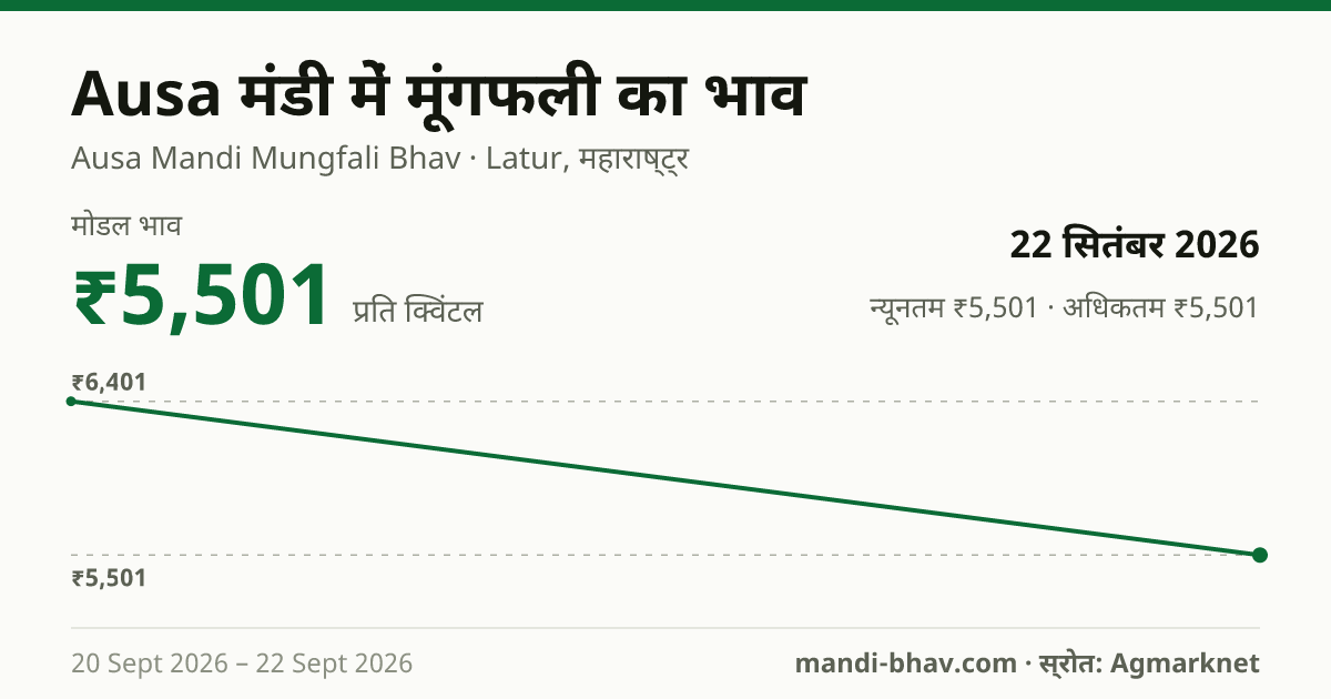 Ausa मंडी में मूंगफली का भाव 22 सितंबर 2026: मोडल ₹5,501 प्रति क्विंटल, भाव के रुझान का चार्ट