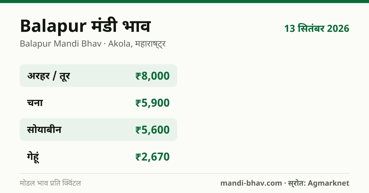 Balapur मंडी भाव 13 सितंबर 2026: फसलवार मोडल रेट प्रति क्विंटल