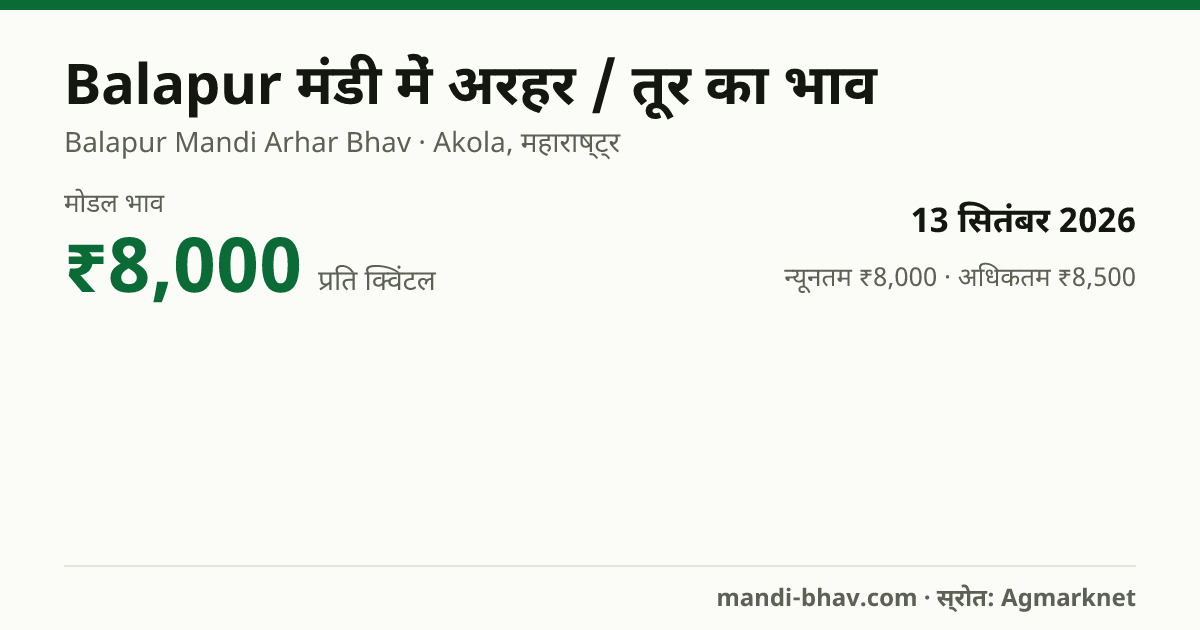 Balapur मंडी में अरहर / तूर का भाव 13 सितंबर 2026: मोडल ₹8,000 प्रति क्विंटल, भाव के रुझान का चार्ट
