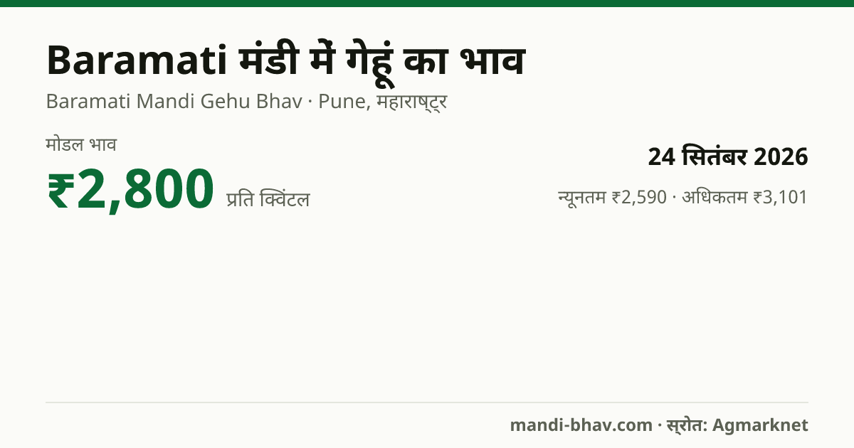 Baramati मंडी में गेहूं का भाव 24 सितंबर 2026: मोडल ₹2,800 प्रति क्विंटल, भाव के रुझान का चार्ट