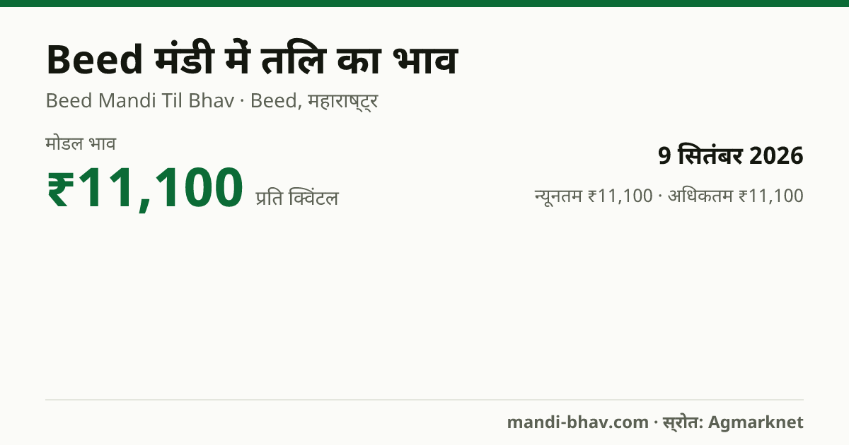 Beed मंडी में तिल का भाव 9 सितंबर 2026: मोडल ₹11,100 प्रति क्विंटल, भाव के रुझान का चार्ट