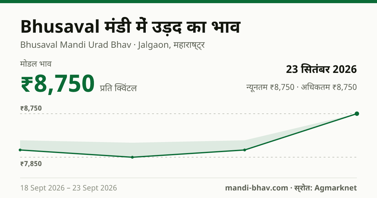 Bhusaval मंडी में उड़द का भाव 23 सितंबर 2026: मोडल ₹8,750 प्रति क्विंटल, भाव के रुझान का चार्ट
