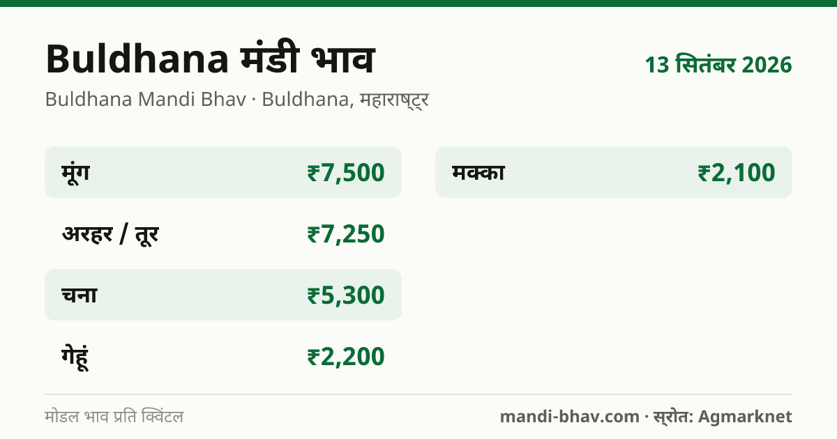 Buldhana मंडी भाव 13 सितंबर 2026: फसलवार मोडल रेट प्रति क्विंटल