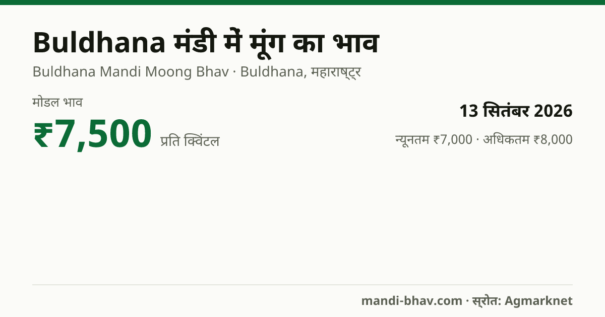 Buldhana मंडी में मूंग का भाव 13 सितंबर 2026: मोडल ₹7,500 प्रति क्विंटल, भाव के रुझान का चार्ट