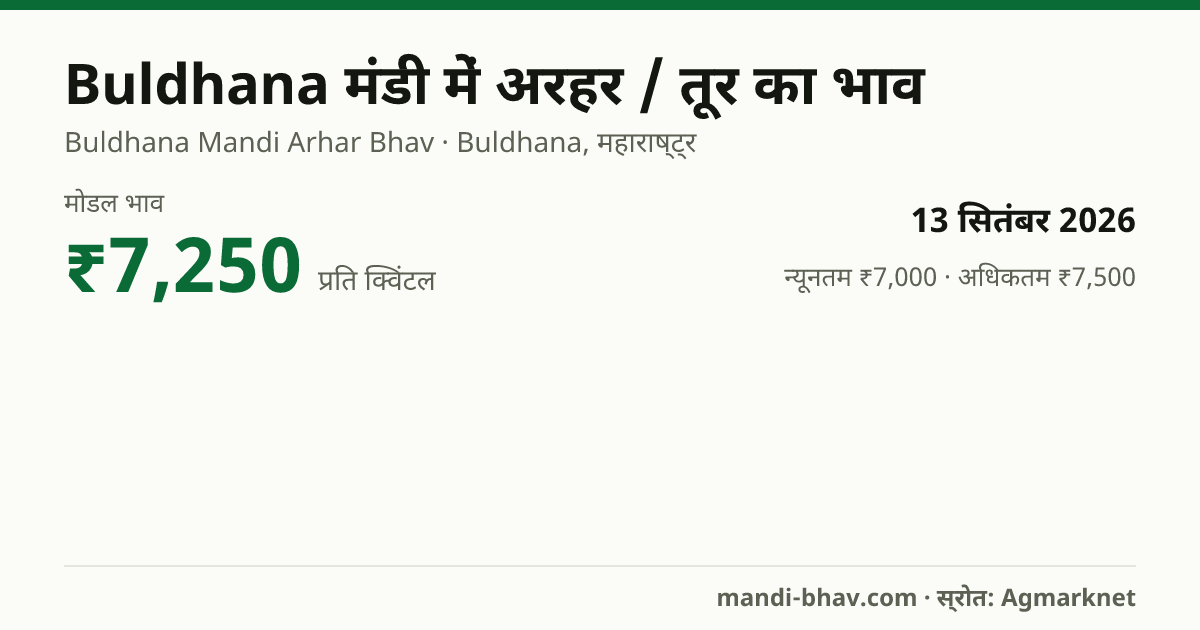 Buldhana मंडी में अरहर / तूर का भाव 13 सितंबर 2026: मोडल ₹7,250 प्रति क्विंटल, भाव के रुझान का चार्ट