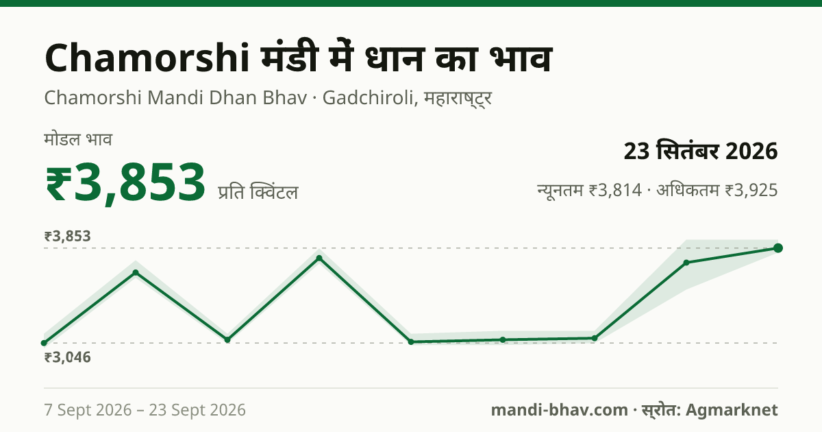 Chamorshi मंडी में धान का भाव 23 सितंबर 2026: मोडल ₹3,853 प्रति क्विंटल, भाव के रुझान का चार्ट