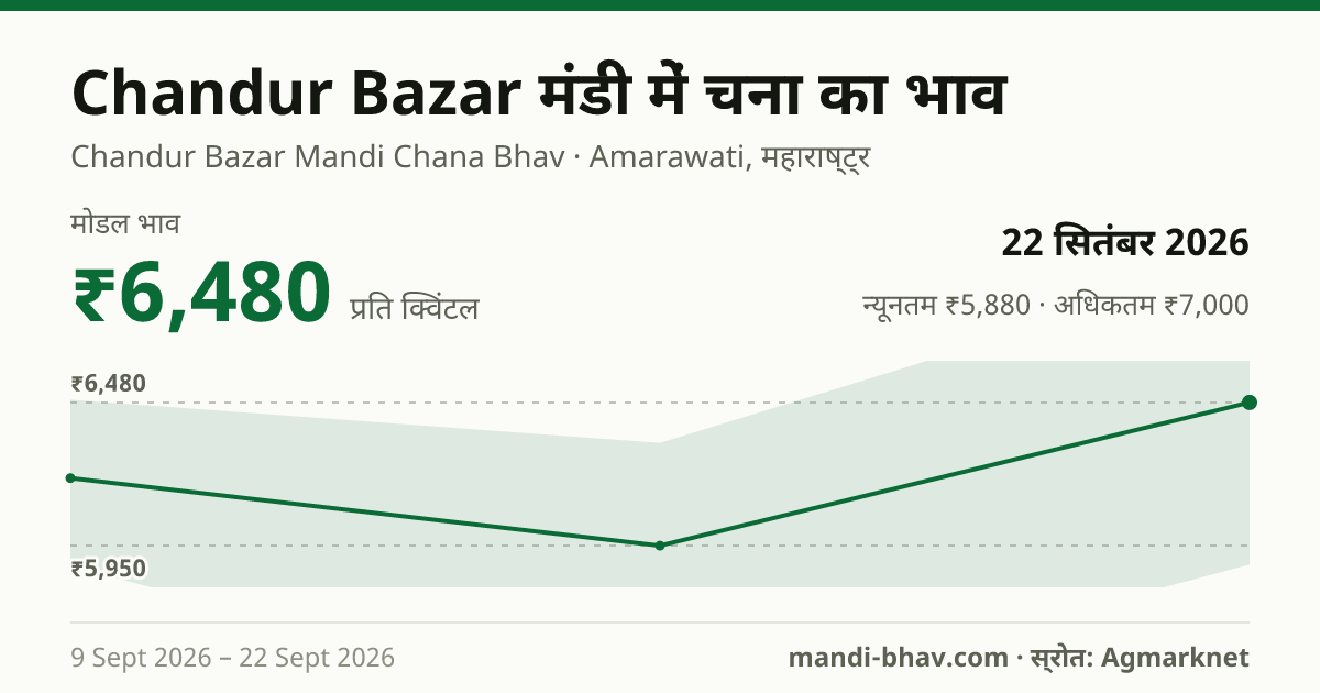 Chandur Bazar मंडी में चना का भाव 22 सितंबर 2026: मोडल ₹6,480 प्रति क्विंटल, भाव के रुझान का चार्ट