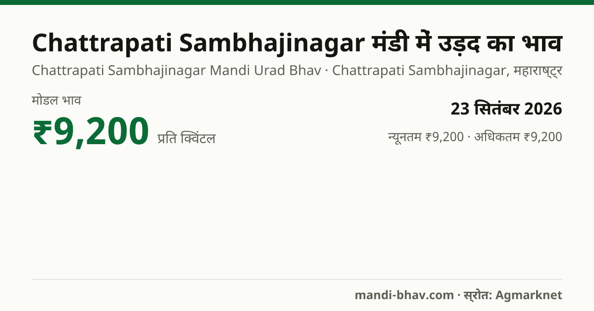 Chattrapati Sambhajinagar मंडी में उड़द का भाव 23 सितंबर 2026: मोडल ₹9,200 प्रति क्विंटल, भाव के रुझान का चार्ट