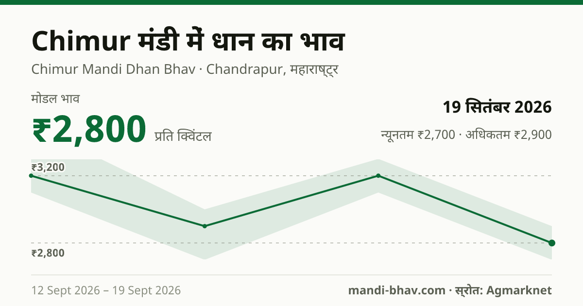 Chimur मंडी में धान का भाव 19 सितंबर 2026: मोडल ₹2,800 प्रति क्विंटल, भाव के रुझान का चार्ट
