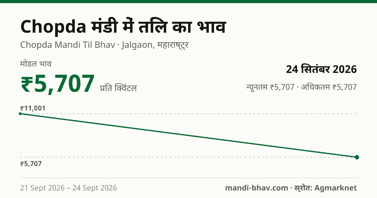Chopda मंडी में तिल का भाव 24 सितंबर 2026: मोडल ₹5,707 प्रति क्विंटल, भाव के रुझान का चार्ट