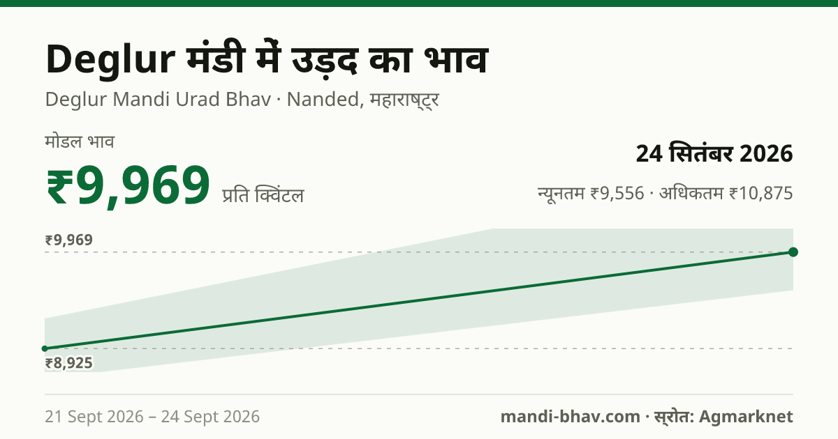 Deglur मंडी में उड़द का भाव 24 सितंबर 2026: मोडल ₹9,969 प्रति क्विंटल, भाव के रुझान का चार्ट