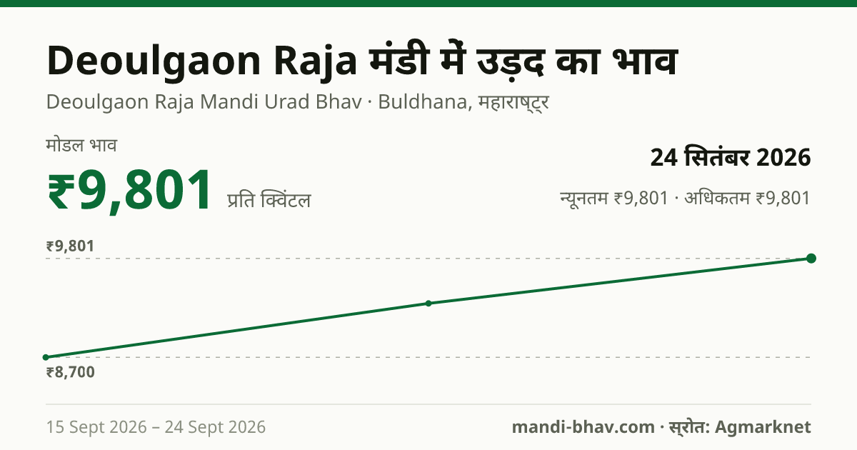 Deoulgaon Raja मंडी में उड़द का भाव 24 सितंबर 2026: मोडल ₹9,801 प्रति क्विंटल, भाव के रुझान का चार्ट