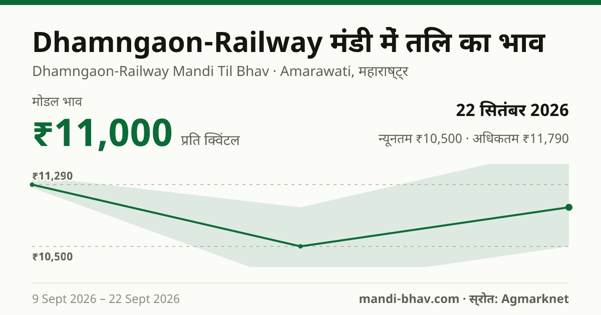 Dhamngaon-Railway मंडी में तिल का भाव 22 सितंबर 2026: मोडल ₹11,000 प्रति क्विंटल, भाव के रुझान का चार्ट
