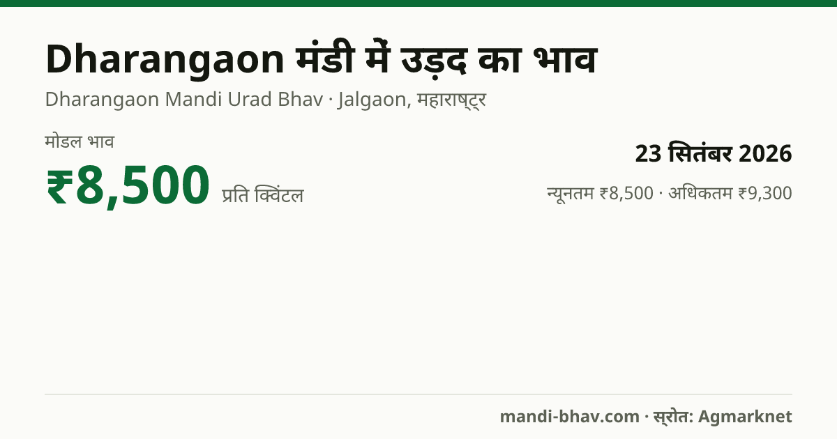 Dharangaon मंडी में उड़द का भाव 23 सितंबर 2026: मोडल ₹8,500 प्रति क्विंटल, भाव के रुझान का चार्ट