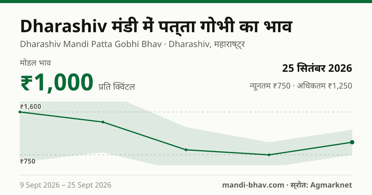 Dharashiv मंडी में पत्ता गोभी का भाव 25 सितंबर 2026: मोडल ₹1,000 प्रति क्विंटल, भाव के रुझान का चार्ट