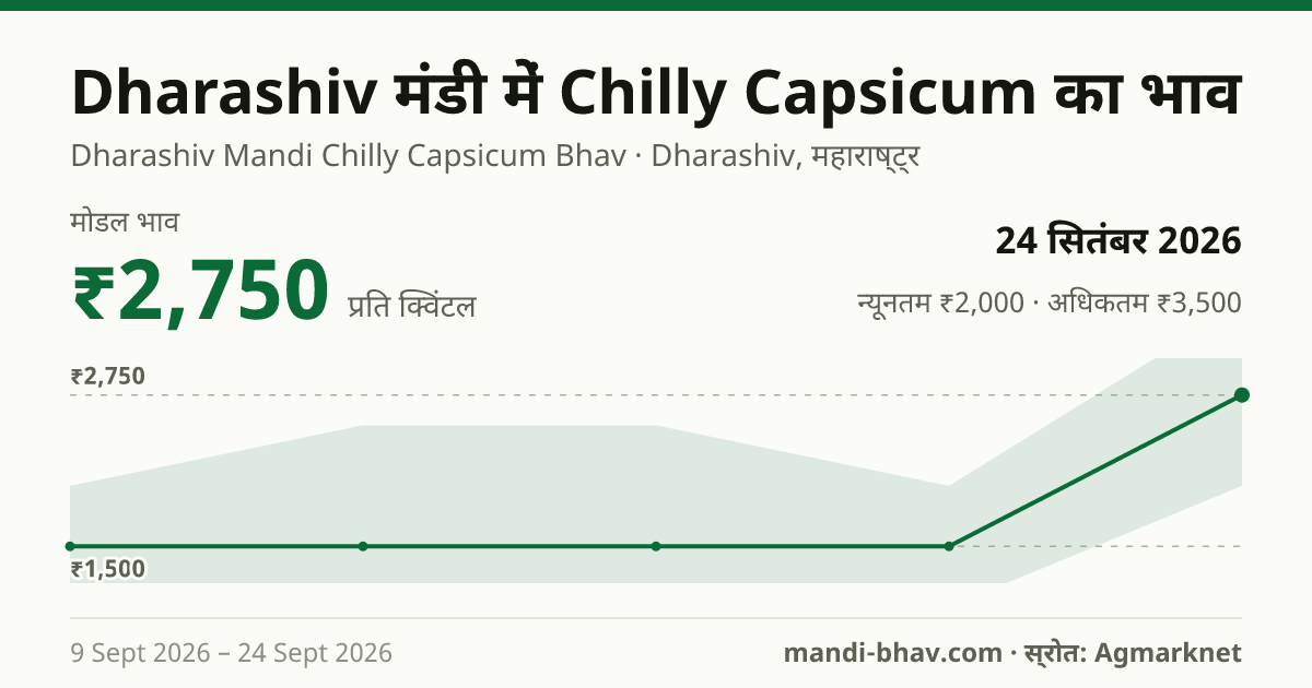 Dharashiv मंडी में Chilly Capsicum का भाव 24 सितंबर 2026: मोडल ₹2,750 प्रति क्विंटल, भाव के रुझान का चार्ट