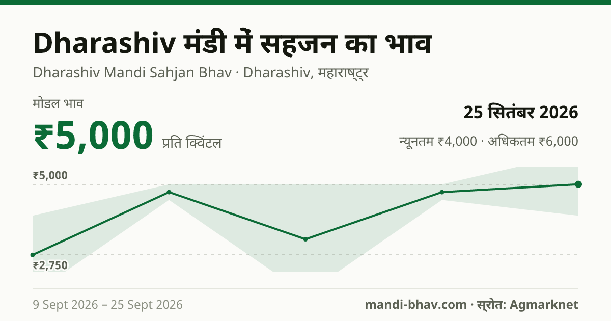 Dharashiv मंडी में सहजन का भाव 25 सितंबर 2026: मोडल ₹5,000 प्रति क्विंटल, भाव के रुझान का चार्ट