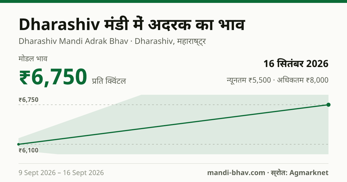 Dharashiv मंडी में अदरक का भाव 16 सितंबर 2026: मोडल ₹6,750 प्रति क्विंटल, भाव के रुझान का चार्ट