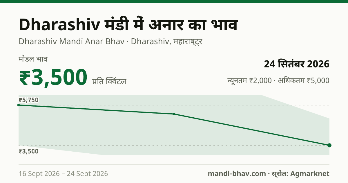 Dharashiv मंडी में अनार का भाव 24 सितंबर 2026: मोडल ₹3,500 प्रति क्विंटल, भाव के रुझान का चार्ट