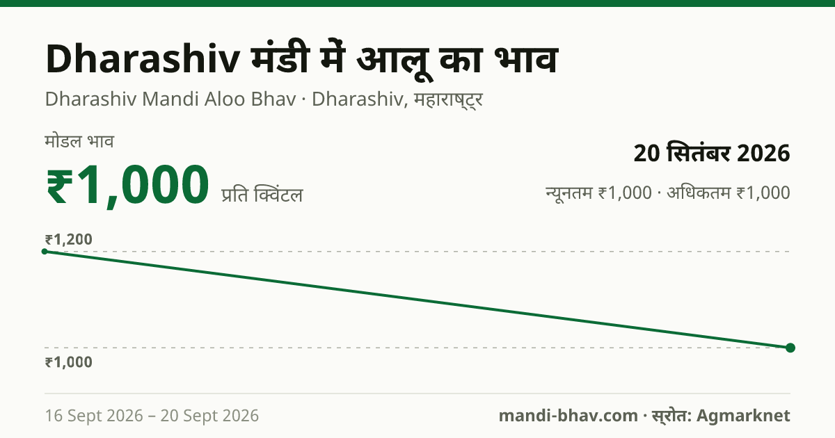 Dharashiv मंडी में आलू का भाव 20 सितंबर 2026: मोडल ₹1,000 प्रति क्विंटल, भाव के रुझान का चार्ट