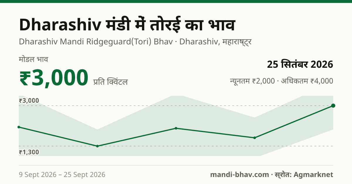 Dharashiv मंडी में तोरई का भाव 25 सितंबर 2026: मोडल ₹3,000 प्रति क्विंटल, भाव के रुझान का चार्ट