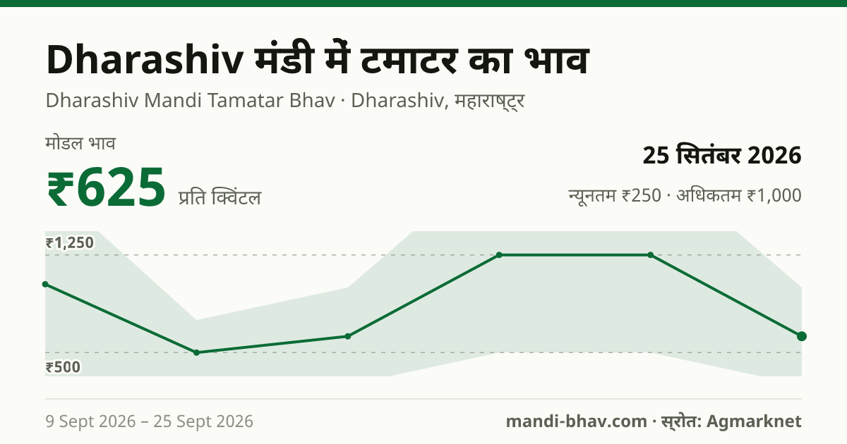Dharashiv मंडी में टमाटर का भाव 25 सितंबर 2026: मोडल ₹625 प्रति क्विंटल, भाव के रुझान का चार्ट