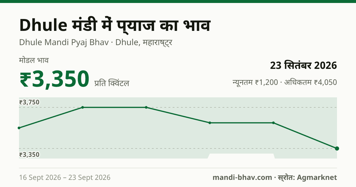 Dhule मंडी में प्याज का भाव 23 सितंबर 2026: मोडल ₹3,350 प्रति क्विंटल, भाव के रुझान का चार्ट