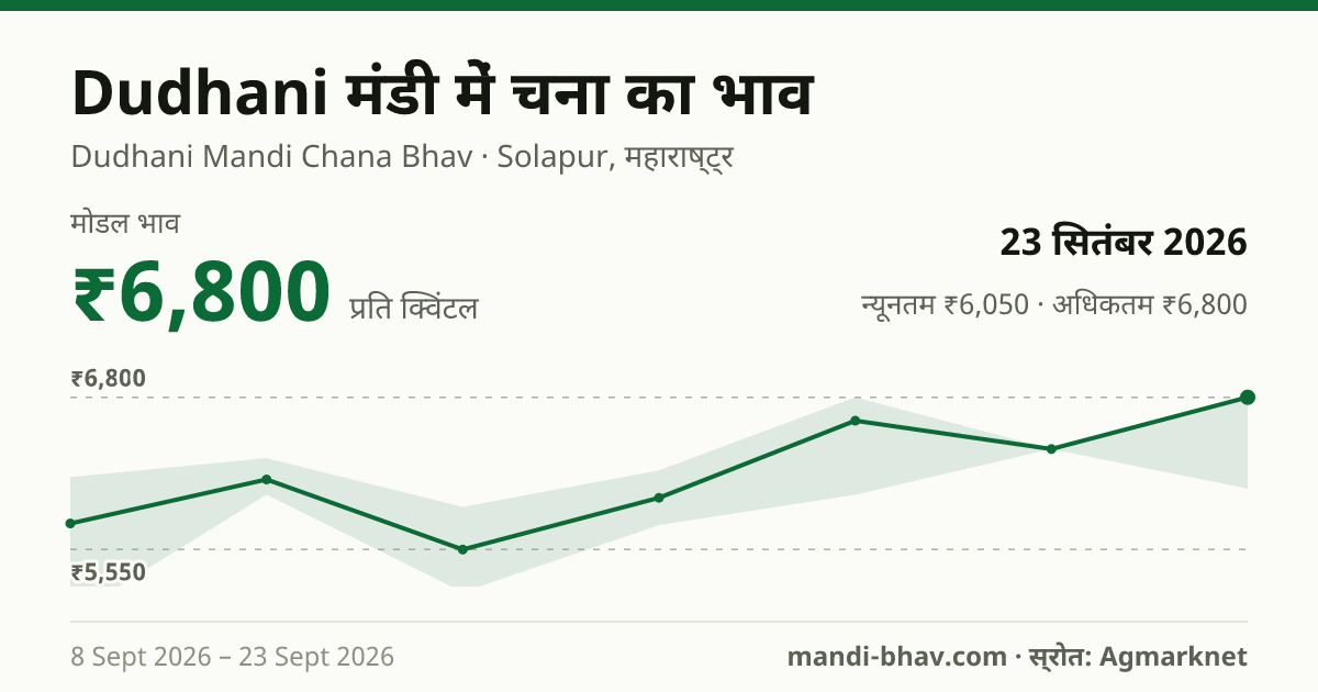 Dudhani मंडी में चना का भाव 23 सितंबर 2026: मोडल ₹6,800 प्रति क्विंटल, भाव के रुझान का चार्ट
