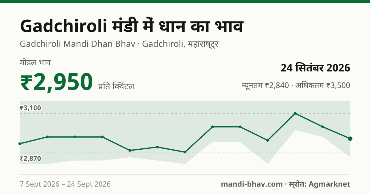 Gadchiroli मंडी में धान का भाव 24 सितंबर 2026: मोडल ₹2,950 प्रति क्विंटल, भाव के रुझान का चार्ट