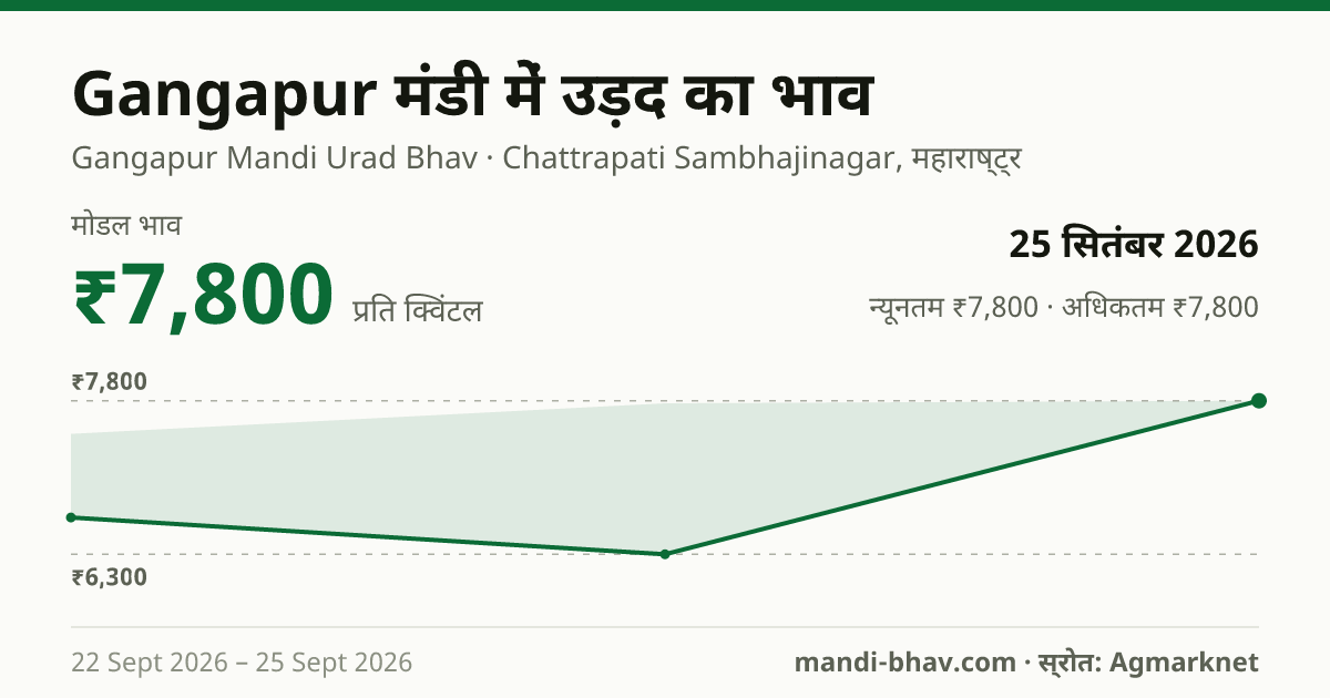 Gangapur मंडी में उड़द का भाव 25 सितंबर 2026: मोडल ₹7,800 प्रति क्विंटल, भाव के रुझान का चार्ट