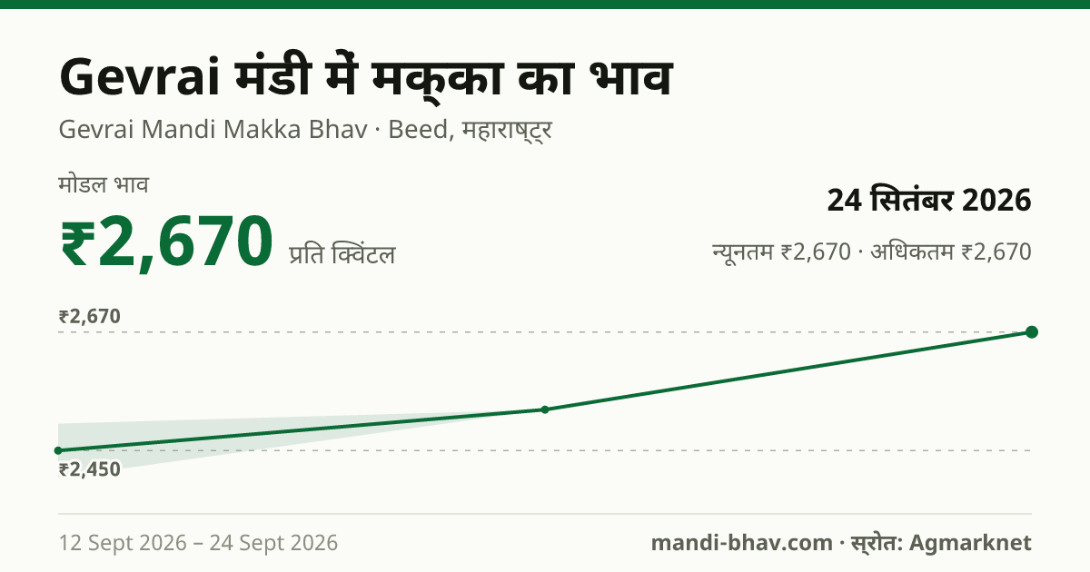 Gevrai मंडी में मक्का का भाव 24 सितंबर 2026: मोडल ₹2,670 प्रति क्विंटल, भाव के रुझान का चार्ट
