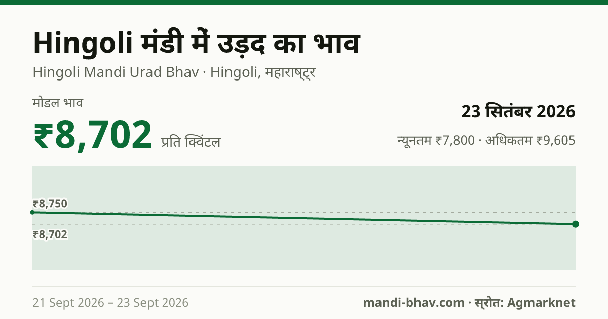 Hingoli मंडी में उड़द का भाव 23 सितंबर 2026: मोडल ₹8,702 प्रति क्विंटल, भाव के रुझान का चार्ट