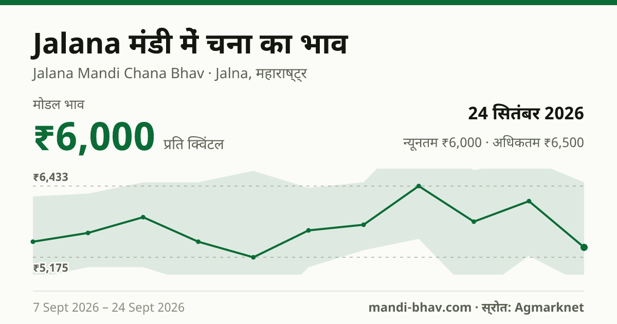 Jalana मंडी में चना का भाव 24 सितंबर 2026: मोडल ₹6,000 प्रति क्विंटल, भाव के रुझान का चार्ट