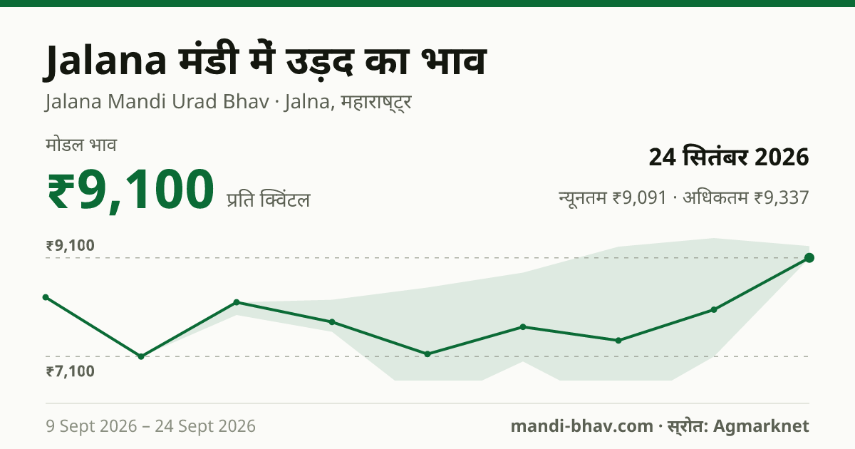 Jalana मंडी में उड़द का भाव 24 सितंबर 2026: मोडल ₹9,100 प्रति क्विंटल, भाव के रुझान का चार्ट