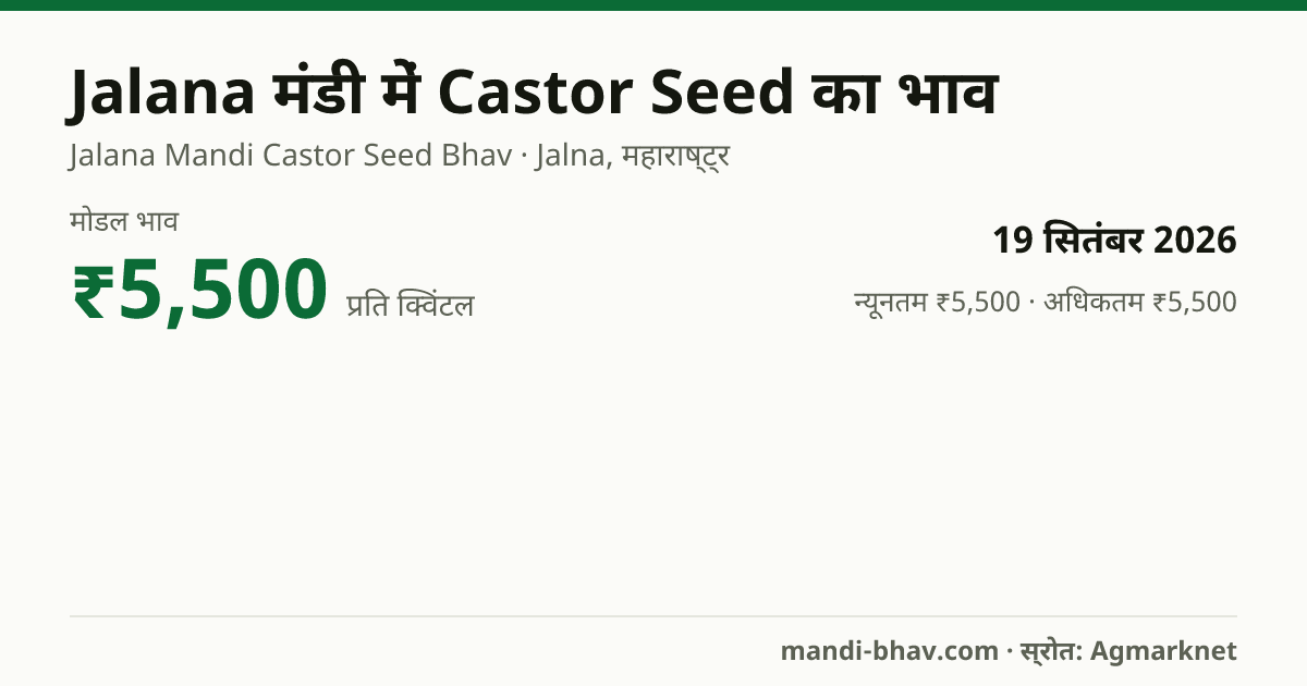 Jalana मंडी में Castor Seed का भाव 19 सितंबर 2026: मोडल ₹5,500 प्रति क्विंटल, भाव के रुझान का चार्ट