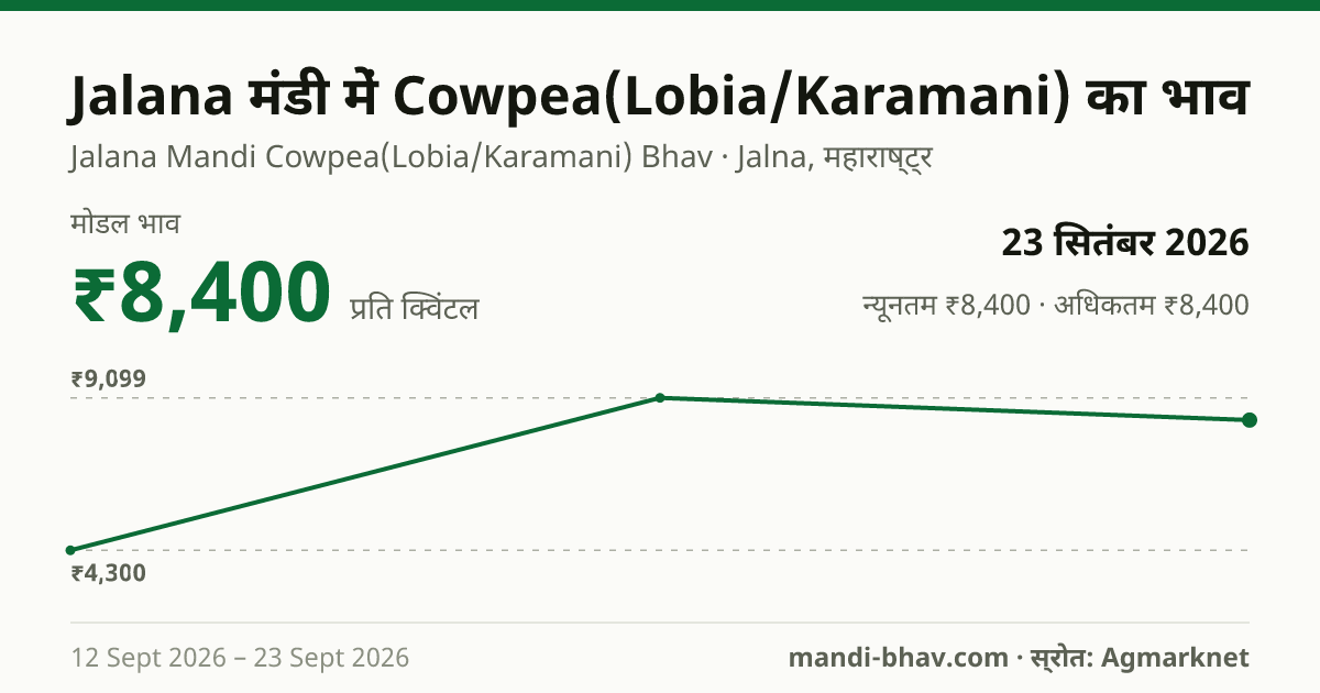 Jalana मंडी में Cowpea(Lobia/Karamani) का भाव 23 सितंबर 2026: मोडल ₹8,400 प्रति क्विंटल, भाव के रुझान का चार्ट