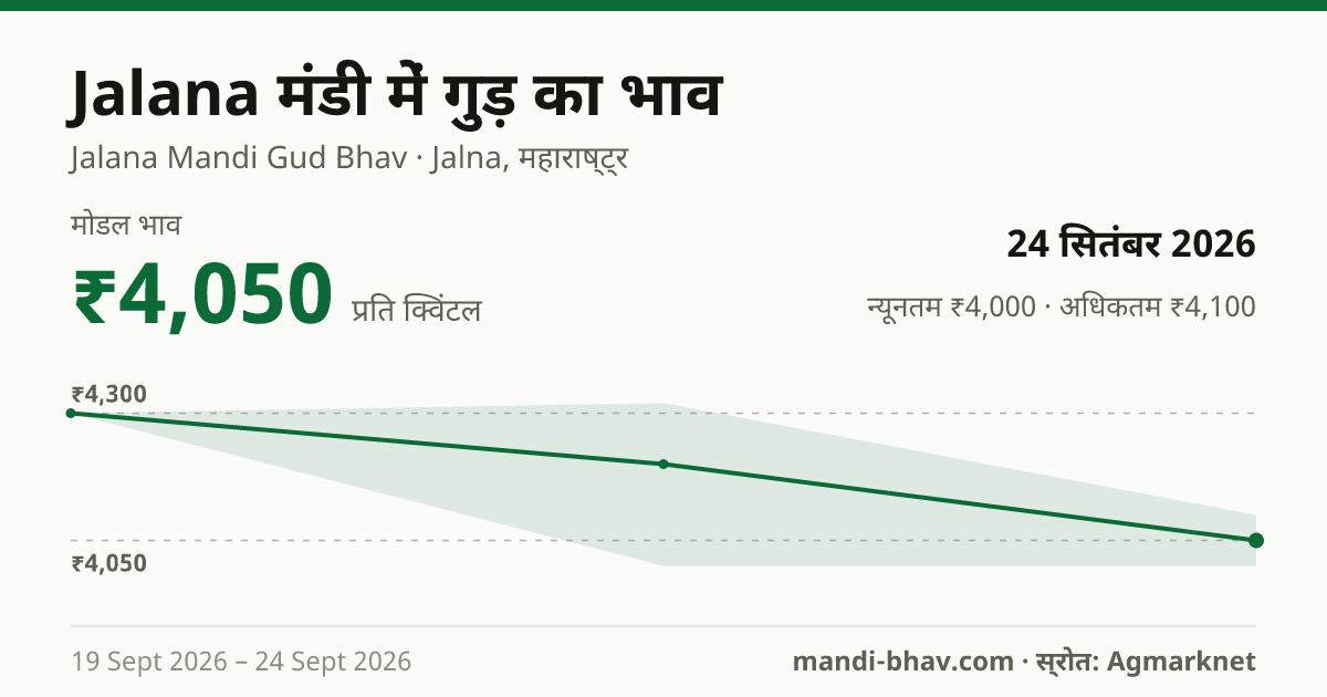 Jalana मंडी में गुड़ का भाव 24 सितंबर 2026: मोडल ₹4,050 प्रति क्विंटल, भाव के रुझान का चार्ट