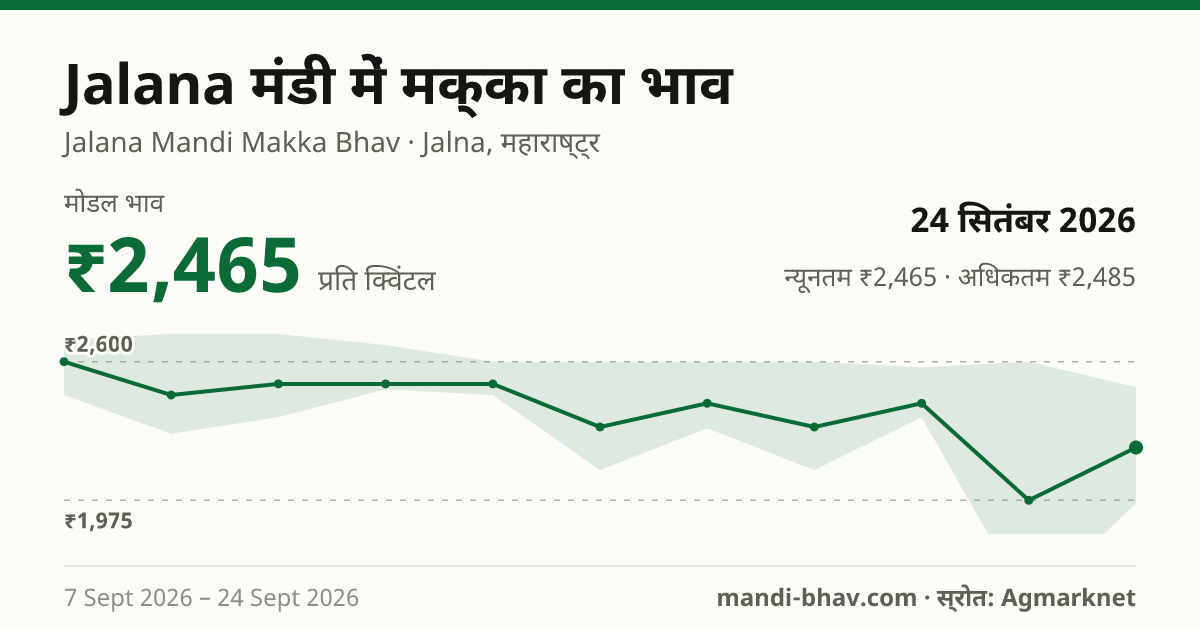 Jalana मंडी में मक्का का भाव 24 सितंबर 2026: मोडल ₹2,465 प्रति क्विंटल, भाव के रुझान का चार्ट