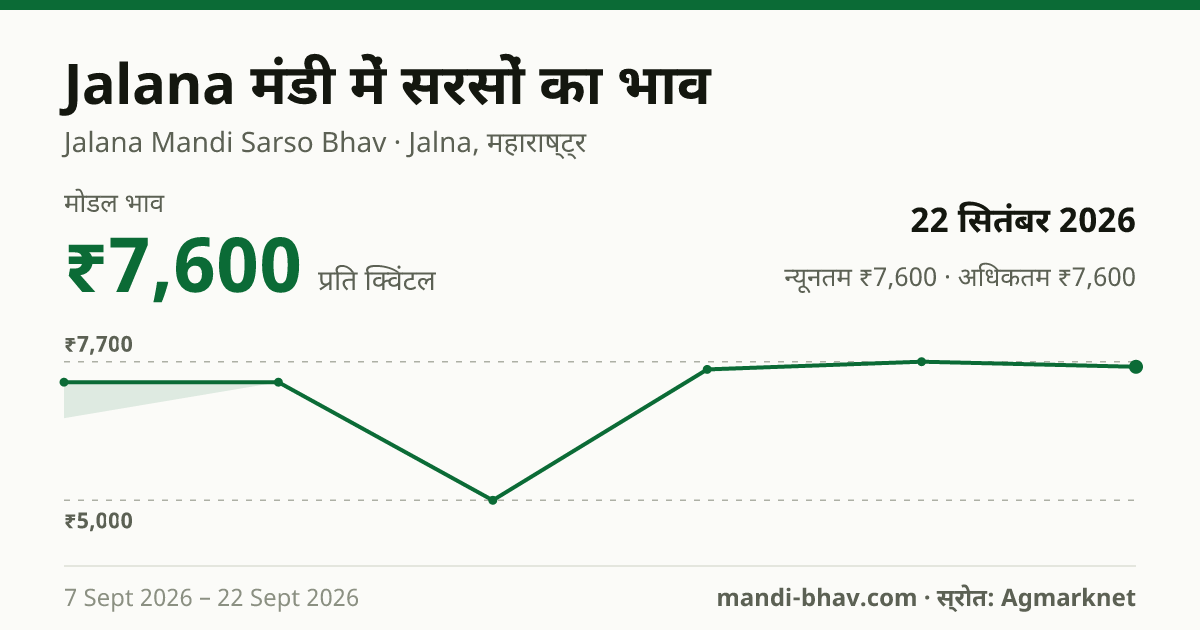 Jalana मंडी में सरसों का भाव 22 सितंबर 2026: मोडल ₹7,600 प्रति क्विंटल, भाव के रुझान का चार्ट
