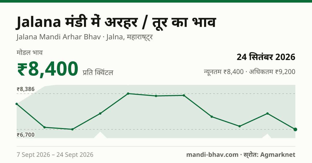Jalana मंडी में अरहर / तूर का भाव 24 सितंबर 2026: मोडल ₹8,400 प्रति क्विंटल, भाव के रुझान का चार्ट