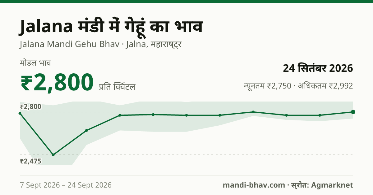 Jalana मंडी में गेहूं का भाव 24 सितंबर 2026: मोडल ₹2,800 प्रति क्विंटल, भाव के रुझान का चार्ट