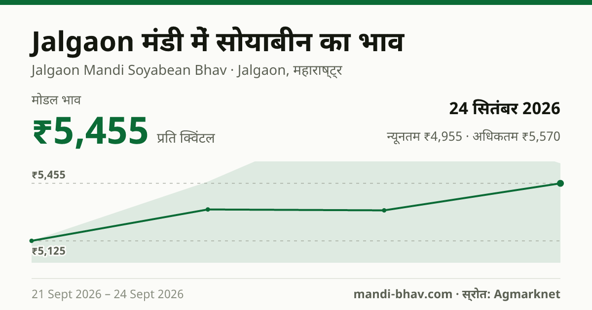Jalgaon मंडी में सोयाबीन का भाव 24 सितंबर 2026: मोडल ₹5,455 प्रति क्विंटल, भाव के रुझान का चार्ट